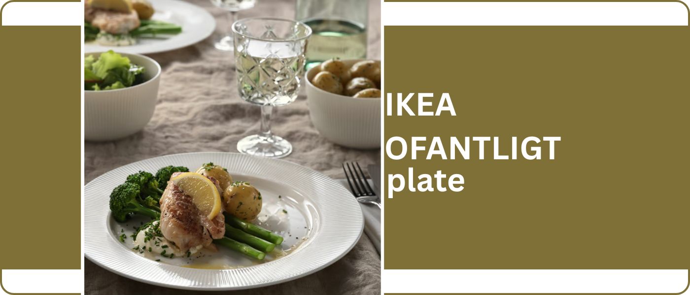 کاسه ایکیا مدل IKEA OFANTLIGT